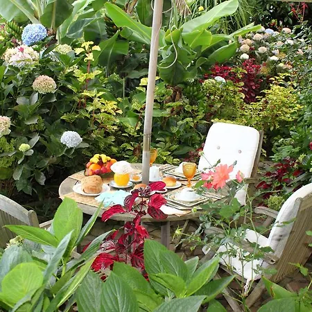 Casa Das Hortensias *